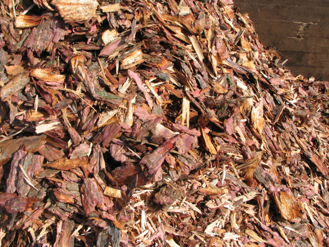 Corteccia di larice