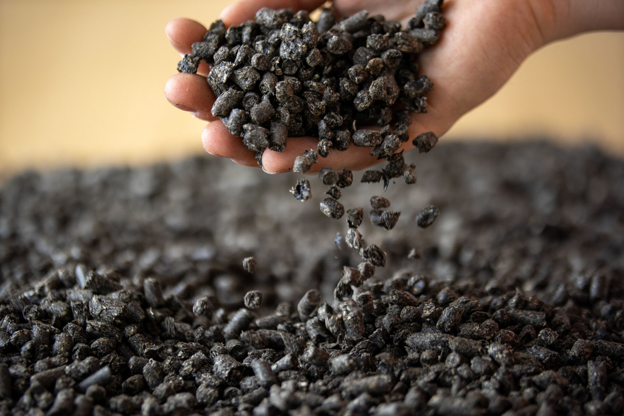Pellet di bucce di girasole