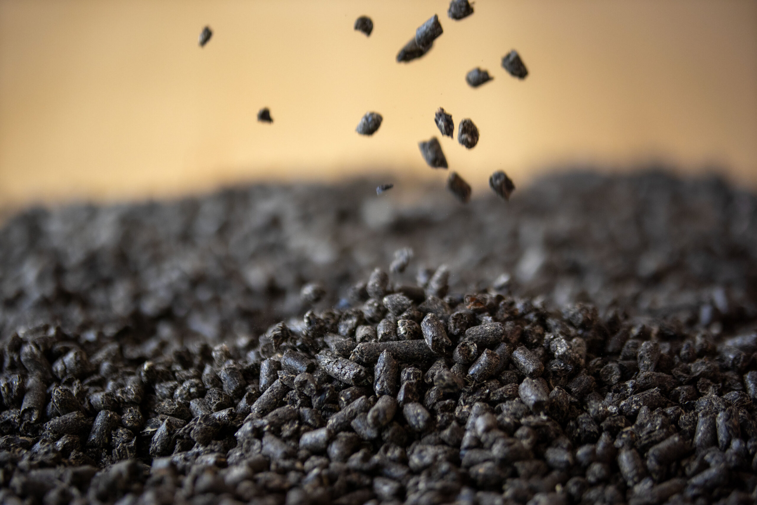 Pellet di girasole