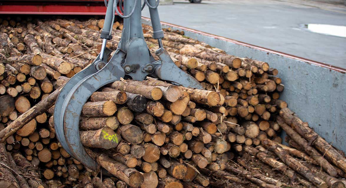 Schiffsverladung mit Rundholz im Hafen in Bremen