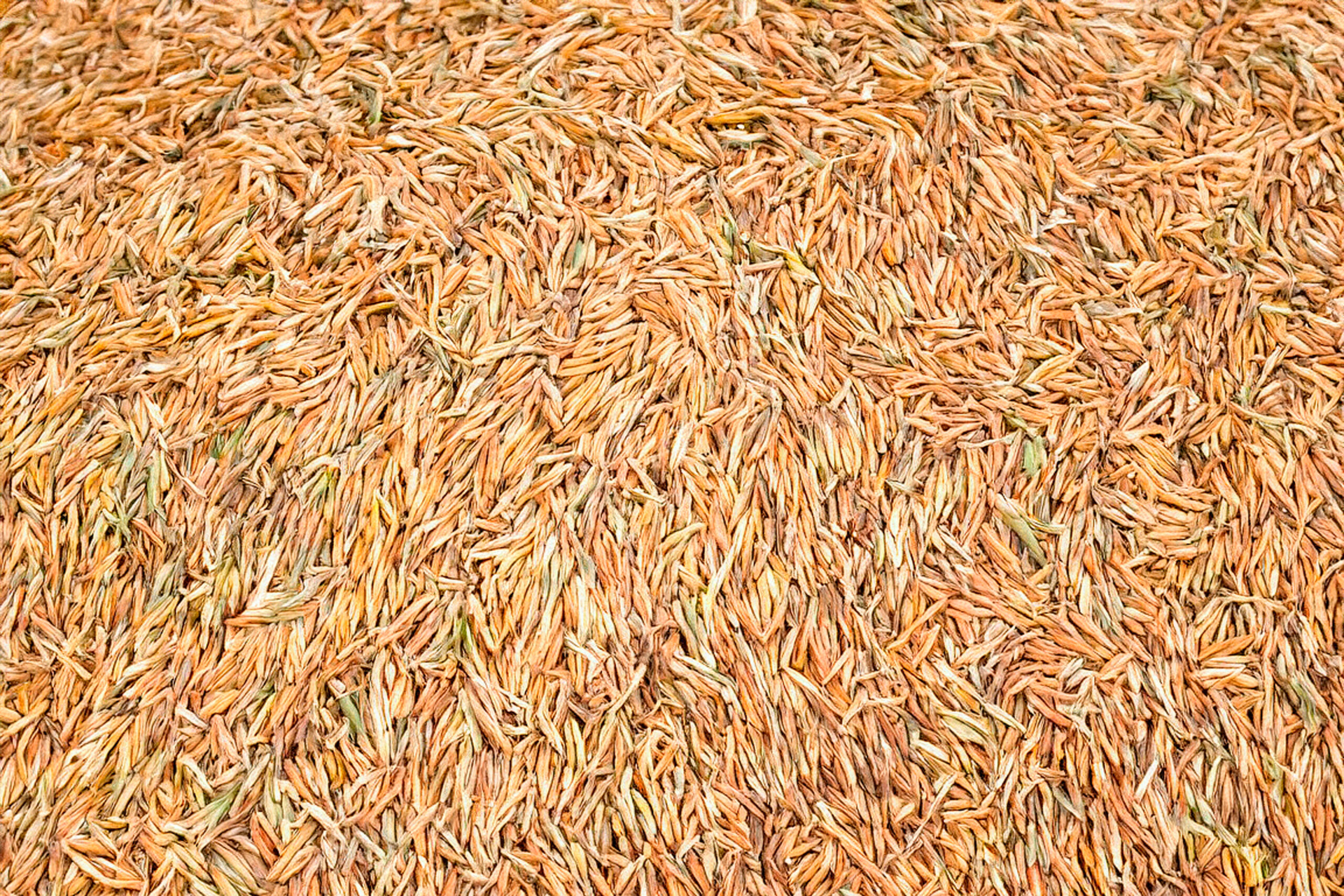 Crusca di cereali