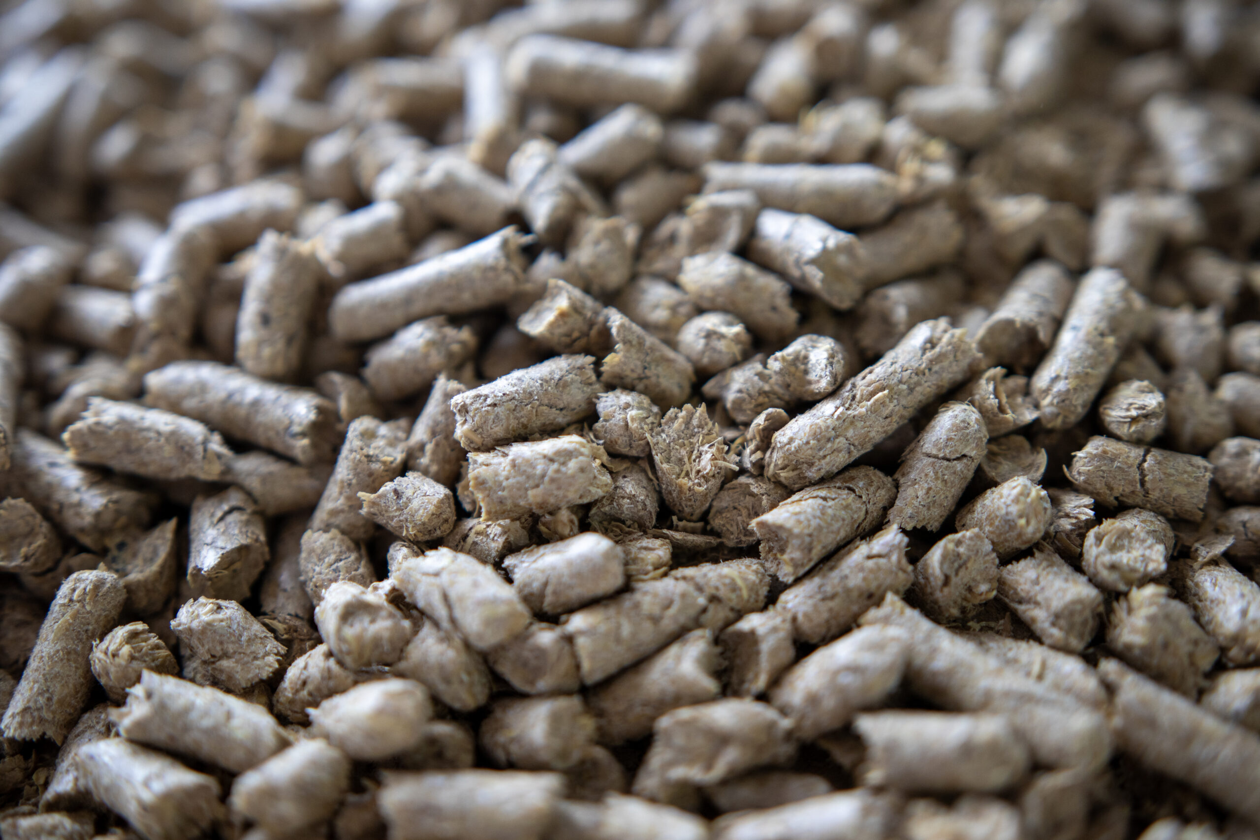 PELLET DI CRUSCA DI AVENA