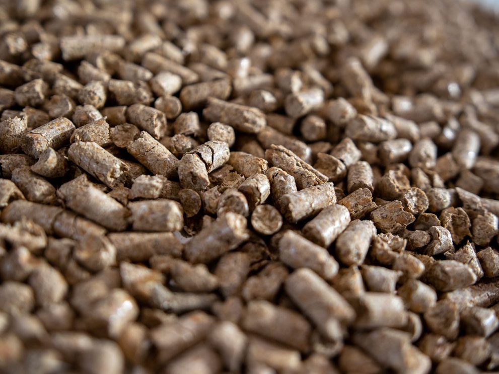 Dinkelspelzenpellets_MG_0007 Dinkelspelzenpellets lose