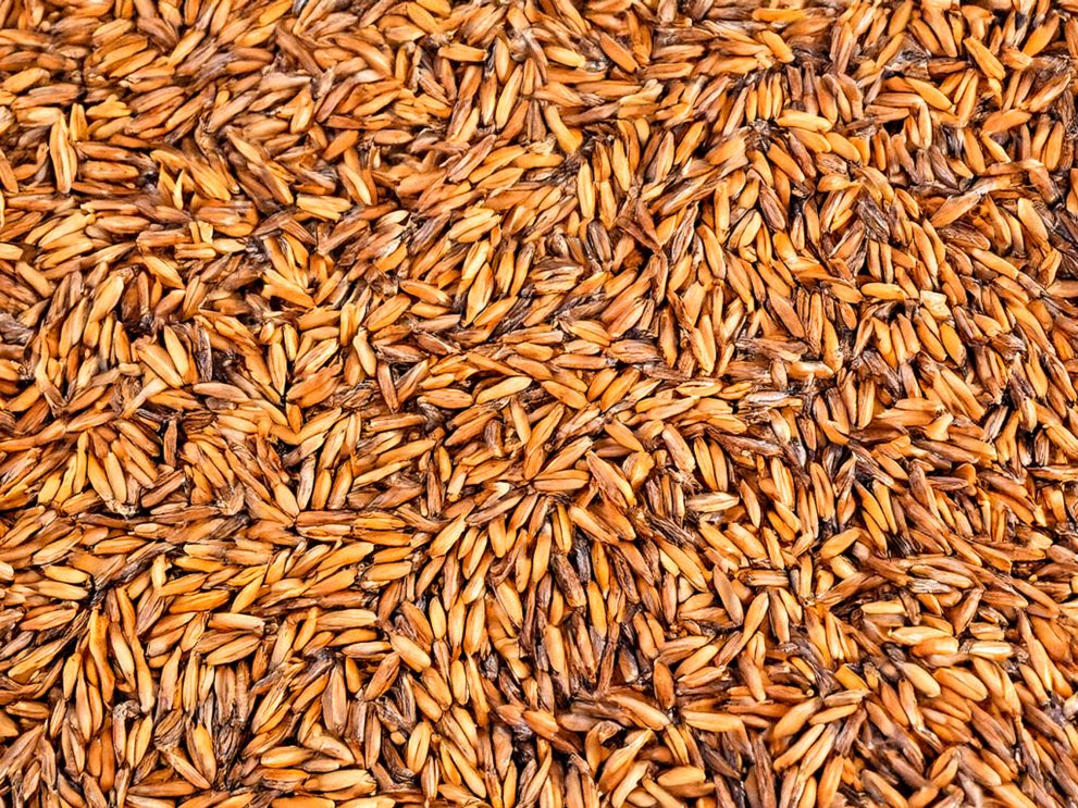 Crusca di cereali Crusca di cereali