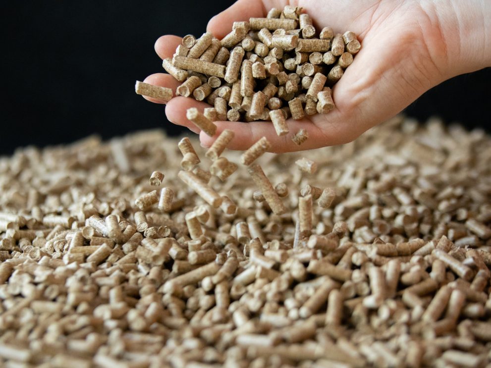 Pellet di legno