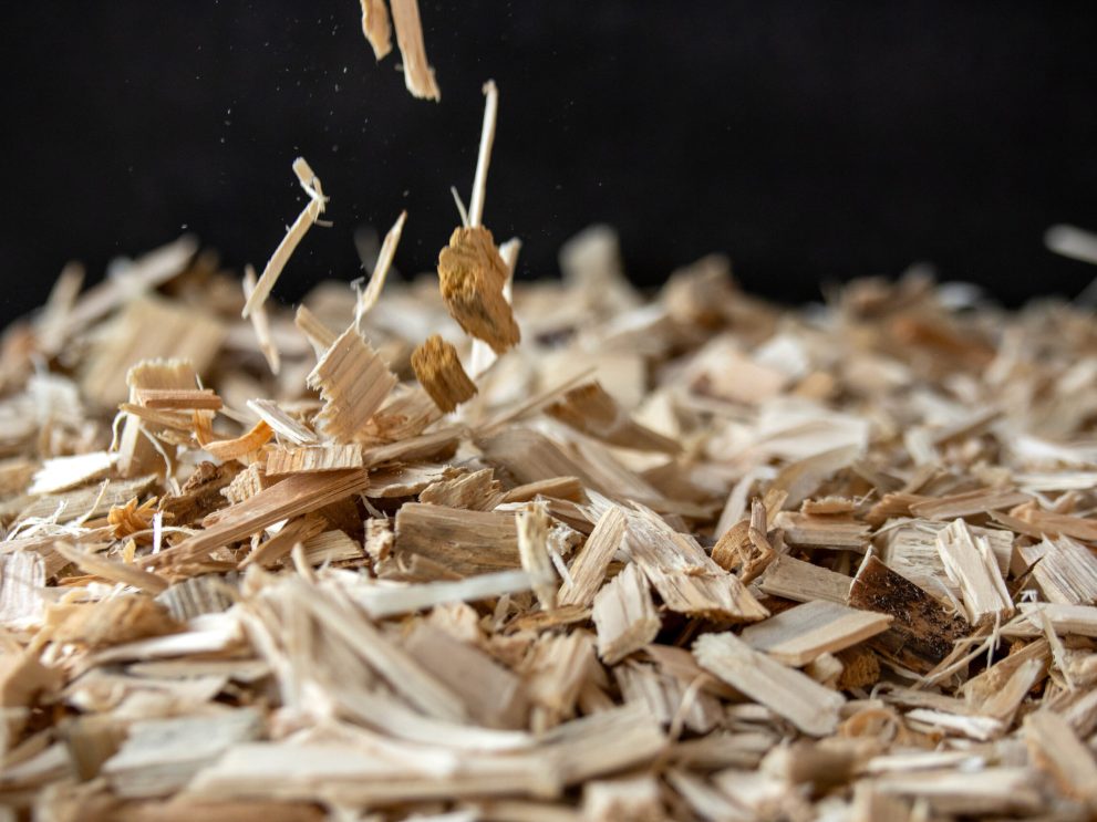 Cippato di legno
