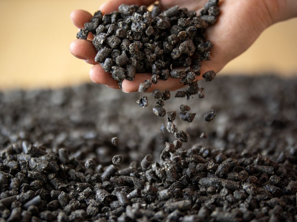 Pellet di bucce di girasole