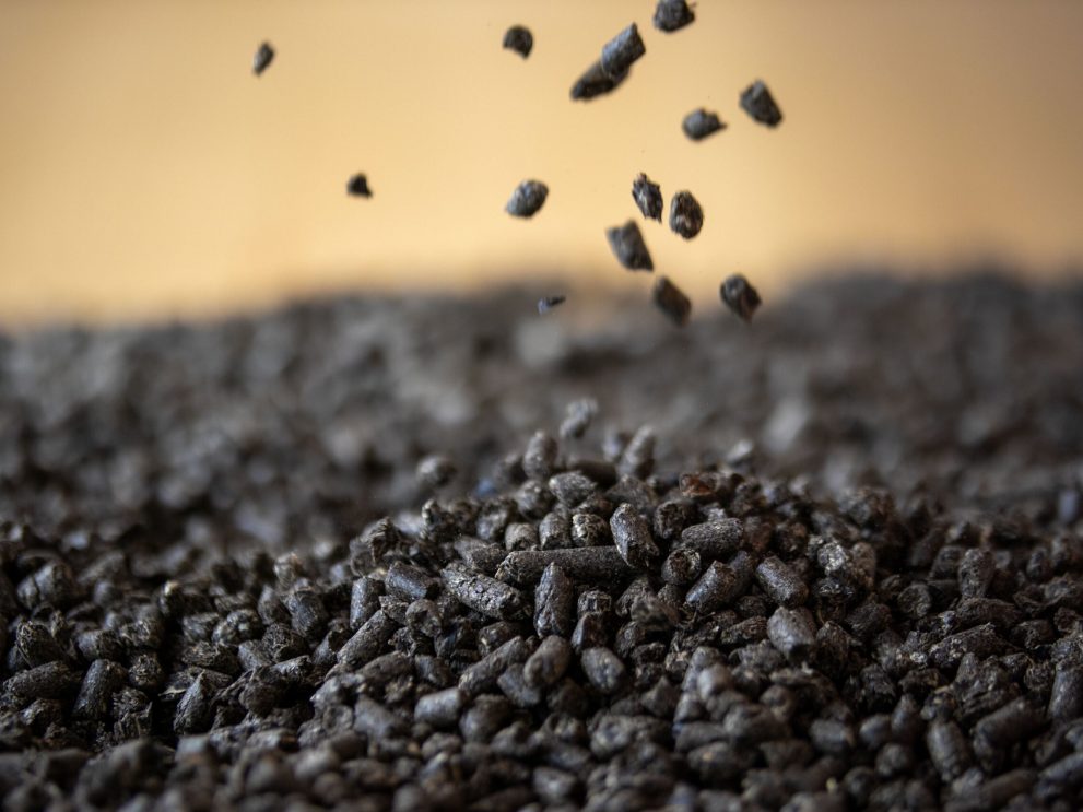 _MG_0553_elaborato Pellet di girasole