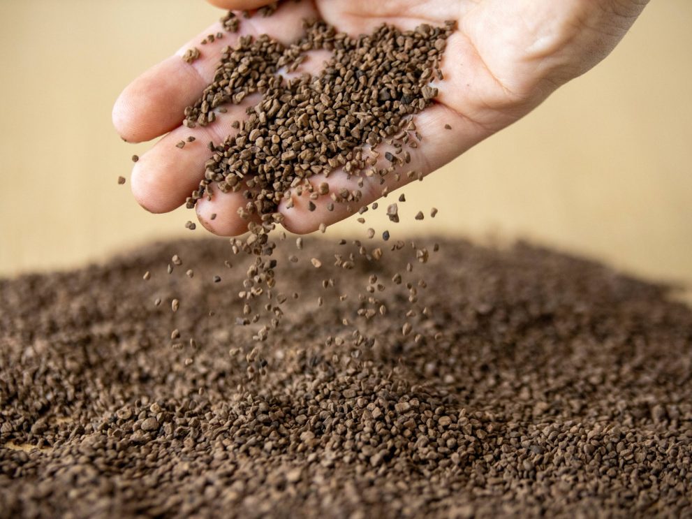 Granulato di nocciolo d'oliva