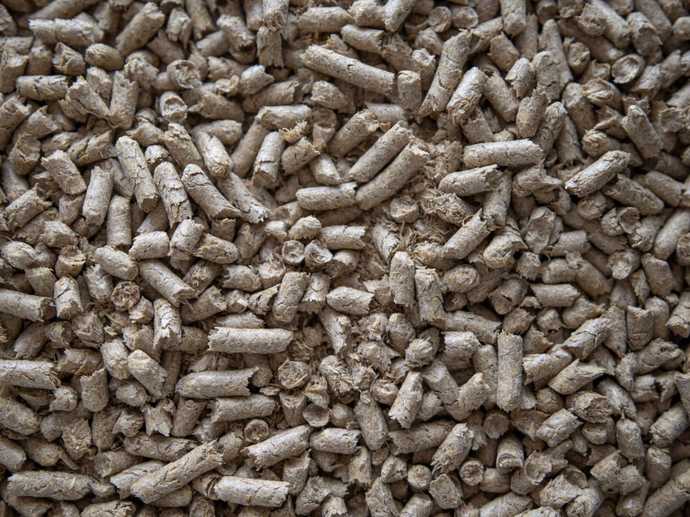 _MG_9292 PELLET DI CRUSCA DI AVENA
