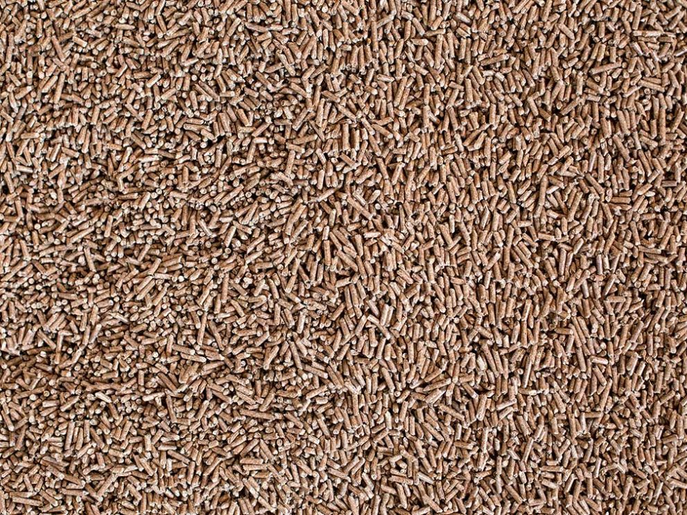 Pellets-IMG_1013_dunkler.jpg Pellets-IMG_1013_dunkler.jpg