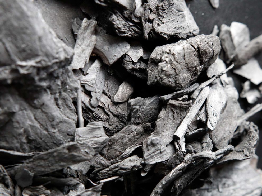 Biochar_MG_7661 Biochar