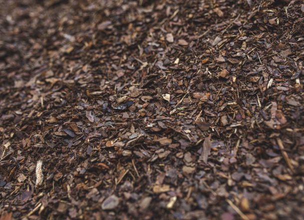 barkmulch3