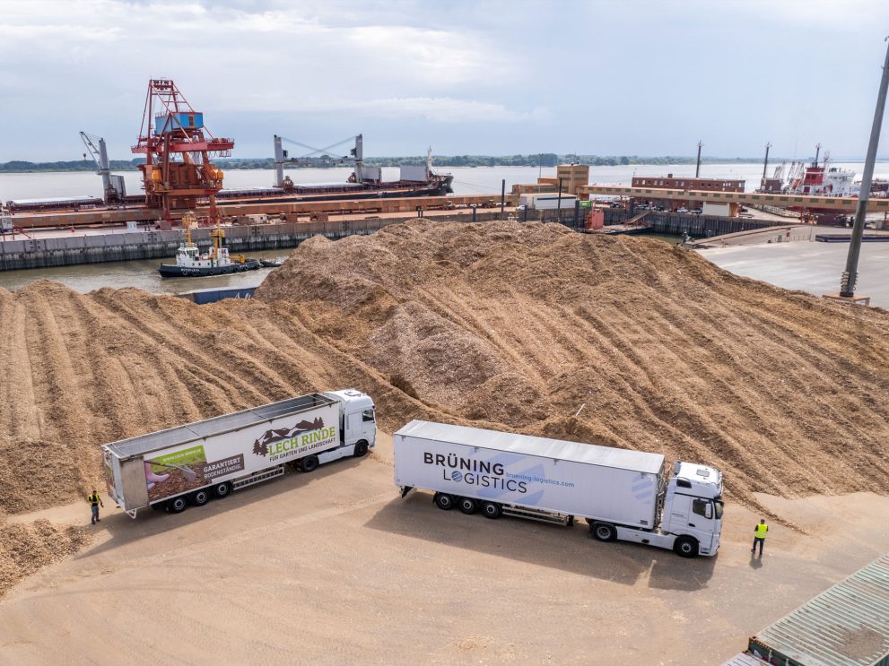 logistica