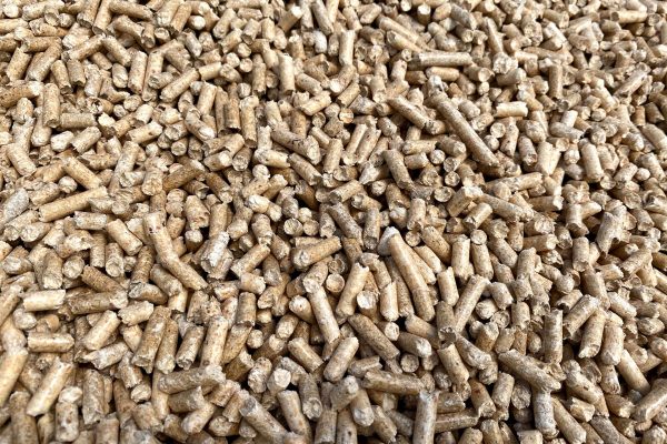 dettaglio pellet